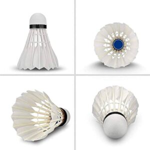 shuttlecock4